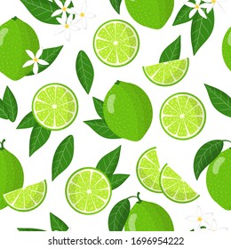 Vector cartoon seamless pattern with Citrus aurantiifolia or Key lime exotic fruits, flowers and leafs on white background for web, print, cloth texture or wallpaper.