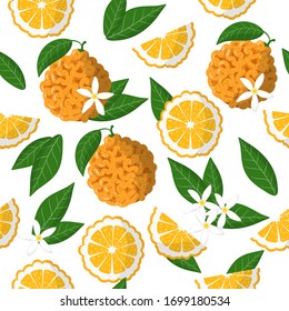 Vector cartoon seamless pattern with Citrus aurantium or Bitter orange exotic fruits, flowers and leafs on white background for web, print, cloth texture or wallpaper.