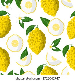 Vector cartoon seamless pattern with Citrus medica or Citron exotic fruits, flowers and leafs on white background for web, print, cloth texture or wallpaper