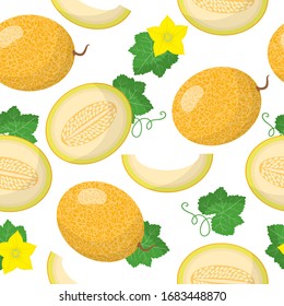 Vector cartoon seamless pattern with Cucumis melo or Melon exotic fruits, flowers and leafs on white background for web, print, cloth texture or wallpaper.