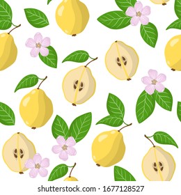 Vector cartoon seamless pattern with Cydonia oblonga or the Quince exotic fruits, flowers and leafs on white background for web, print, cloth texture or wallpaper.