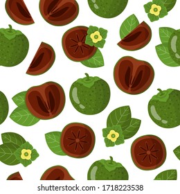 Vector cartoon seamless pattern with Diospyros-nigra or Black sapote exotic fruits, flowers and leafs on white background for web, print, cloth texture or wallpaper