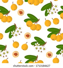 Vector cartoon seamless pattern with Eriobotrya japonica or Medlar exotic fruits, flowers and leafs on white background for web, print, cloth texture or wallpaper.