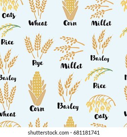 Vector cartoon seamless pattern illustration ears of wheat, rye, barely, corn, rise and names