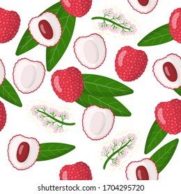 Vector cartoon seamless pattern with Litchi chinensis or Lychee chinese exotic fruits, flowers and leafs on white background for web, print, cloth texture or wallpaper.