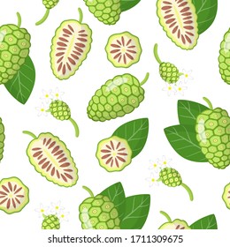 Dibujo vectorial sin fisuras con la citrifolia de Morinda o frutos exóticos no i, flores y hojas sobre fondo blanco para tela, impresión, textura de tela o papel pintado.