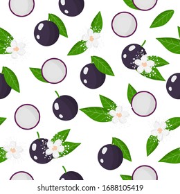 Dibujo vectorial sin fisuras con Myrciaria caulifloria o jaboticaba frutas exóticas, flores y hojas sobre fondo blanco para tela, impresión, textura de tela o papel pintado