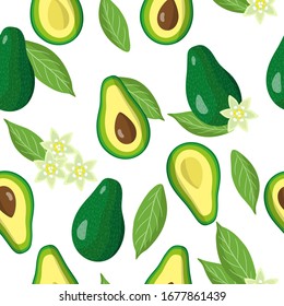 Vector cartoon seamless pattern with Persea americana or Avocado exotic fruits, flowers and leafs on white background for web, print, cloth texture or wallpaper.