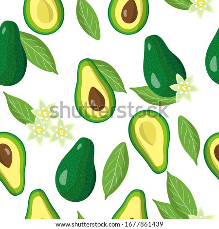 Vector cartoon seamless pattern with Persea americana or Avocado exotic fruits, flowers and leafs on white background for web, print, cloth texture or wallpaper.