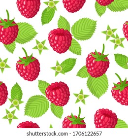 Vector cartoon seamless pattern with Rubus idaeus or Raspberry exotic fruits, flowers and leafs on white background for web, print, cloth texture or wallpaper.