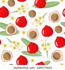 Vector cartoon seamless pattern with Santalum acuminatum or Desert Quandong exotic fruits, flowers and leafs on white background for web, print, cloth texture or wallpaper.