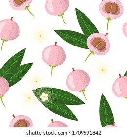 Dibujo vectorial sin fisuras con Syzygium jambos o Pomarose frutos exóticos, flores y hojas sobre fondo blanco para la web, impresión, textura de tela o papel pintado.