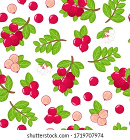 Vector cartoon seamless pattern with Vaccinium vitis-idaea or lingonberry exotic fruits, flowers and leafs on white background for web, print, cloth texture or wallpaper