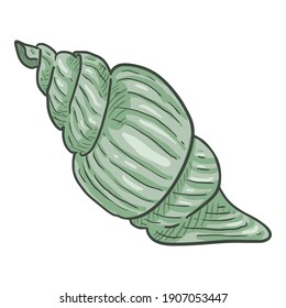Vector Cartoon Seashell on White Background