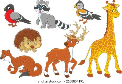 Vector cartoon set of a bramble finch, raccoon, reindeer, hedgehog, giraffe, ermine and bullfinch