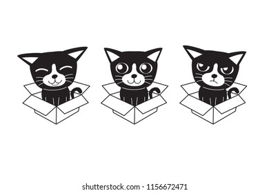 Vector cartoon set of cat in cardboard box for design.