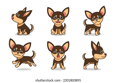 Vector cartoon set of chihuahua dog for design.