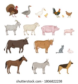 Vector Cartoon Set of Farm Animals. Collection of Rustic Pets