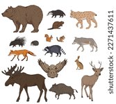 Vector Cartoon Set of Forest Animals. Collection of Wild Mammals Illustrations.