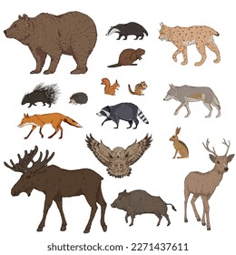 Vector Cartoon Set of Forest Animals. Collection of Wild Mammals Illustrations.