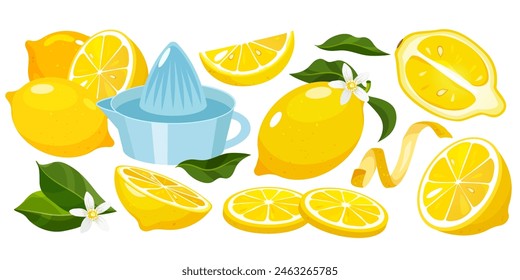 Vector cartoon set with fresh lemon fruits whole, half, slices, lemon cedar, blooming flowers, leaves, lemon squeezer isolated on white background.