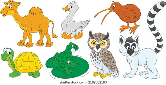 Vector cartoon set of a funny camel, lemur, kiwi, goose, turtle, frog and owl
