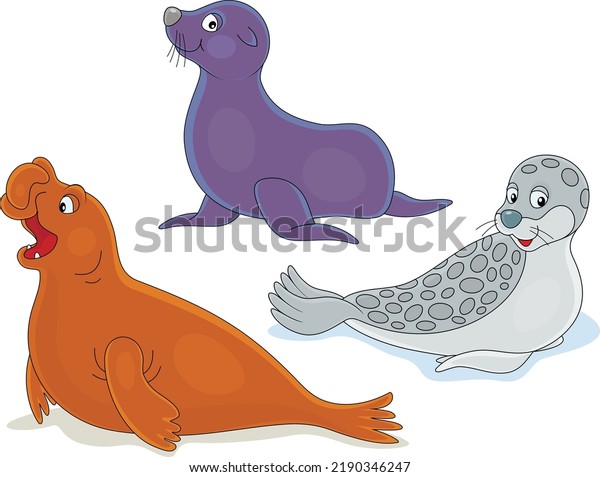 Vector\
cartoon set of a funny sea elephant and\
seals