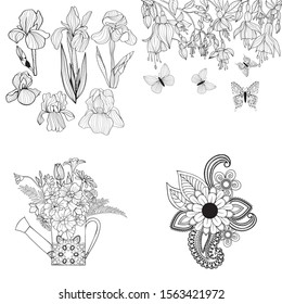 vector cartoon set illustration with iris flowers, Fuchsia flowers and watering can with flower. Black white hand drawn doodle flowers Gardening theme. for coloring page design for decoration. 