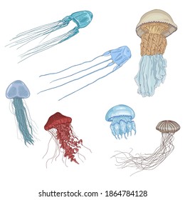 Vector Cartoon Set of Jellyfishes. Medusa Collection.