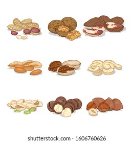 Vector Cartoon Set Nuts Piles Healthy Stock Vector (Royalty Free ...