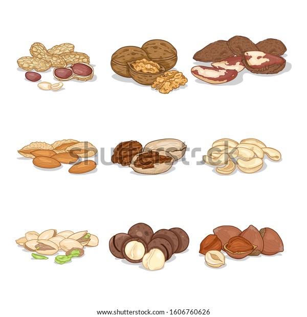 Vector Cartoon Set Nuts Piles Healthy Stock Vector (Royalty Free ...