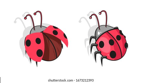 vector cartoon set of red lady-bug, vector illustration siolated on white background