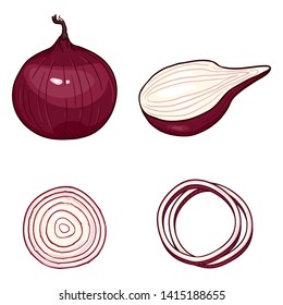 Vector Cartoon Set of Red Onion Bulbs, Slices and Rings.