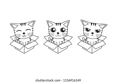 Vector cartoon set of tabby cat in cardboard box for design.