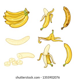 Vector Cartoon Set of Various Banana Illustrations