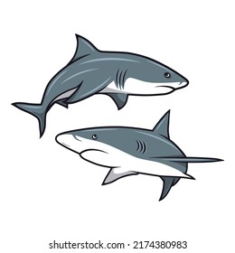 Cartoon-Shark-Set einzeln. Handgezeichnete, farbige weiße Haie mit Kontrastmittel. Meeresraubtier. Meere, Ozeane, Meerestiere. Design der Haicharakter für Logo, Tatto, Print, Karten