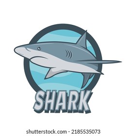 Vector Cartoon Shark Sign. Hand Drawn Colored White Shark, Logo Design. Ocean Predator. Marine, Ocean, Sea Animals. Shark Character Design for Logo, Tatto, Print, Cards