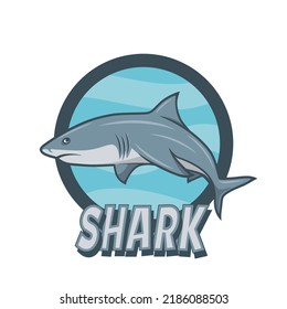 Vector Cartoon Shark Sign. Hand Drawn Colored White Shark, Logo Design. Ocean Predator. Marine, Ocean, Sea Animals. Shark Character Design for Logo, Tattoo, Print, Cards