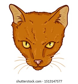Vector Cartoon Shorthair Cats Portrait. Feline Face Illustration.