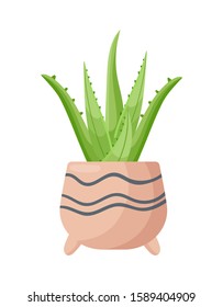 Vector cartoon Sign of aloe vera plant in pot isolated on white background.  