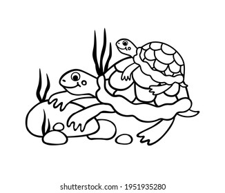 226 Turtle stencil Images, Stock Photos & Vectors | Shutterstock