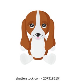 Vector cartoon sitting dog of Basset Hound breed. Puppy, pets design element.