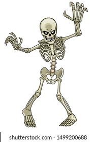 vector of cartoon of skeleton ghost