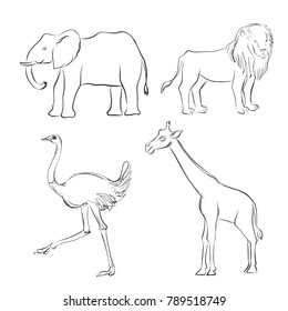 vector cartoon sketch of animals isolated at white background, hand drawn illustration