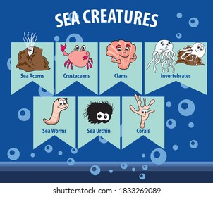 Vector cartoon sketches of the sea creatures: sea acorns, crustaceans, clams, invertebrates, sea Worms, 
sea Urchin, corals