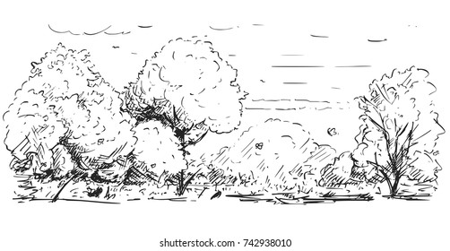 Vector cartoon sketchy drawing of nature park landscape with trees, bushes and grass.