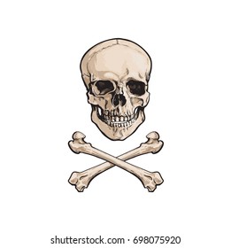 vector cartoon skull and cross bones isolated illustration on a white background. Jolly roger flag, pirates adventure , treasure risk and death symbol