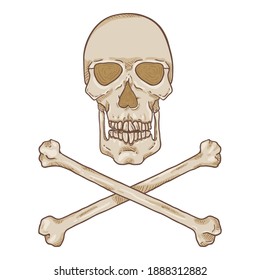 Vector Cartoon Skull and Crossbones Illustration. Pirates Symbol