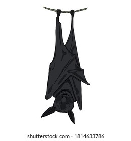 Caricatura vectorial en la Ilustración de Black Bat.