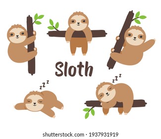 Vector Cartoon Sloth Sleep Slowly moving slots hang on trees in various poses.